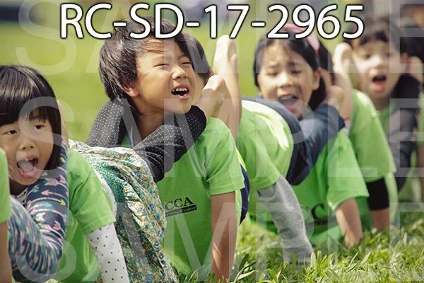 RC-SD-17-2965.jpg