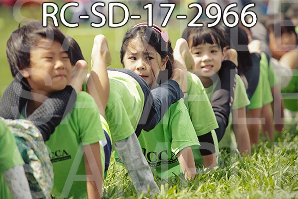 RC-SD-17-2966.jpg