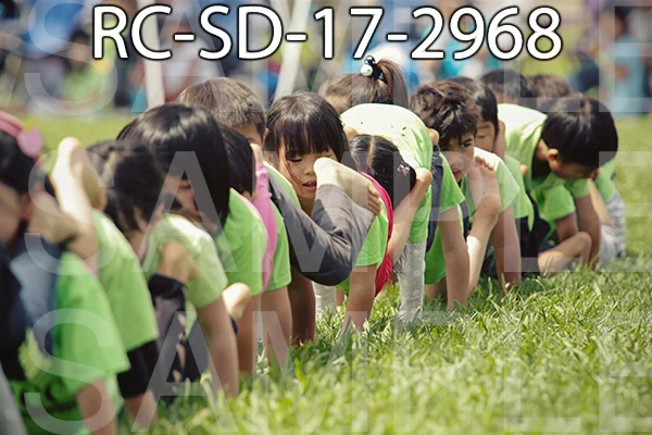 RC-SD-17-2968.jpg