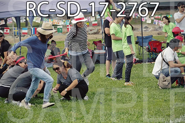 RC-SD-17-2767.jpg
