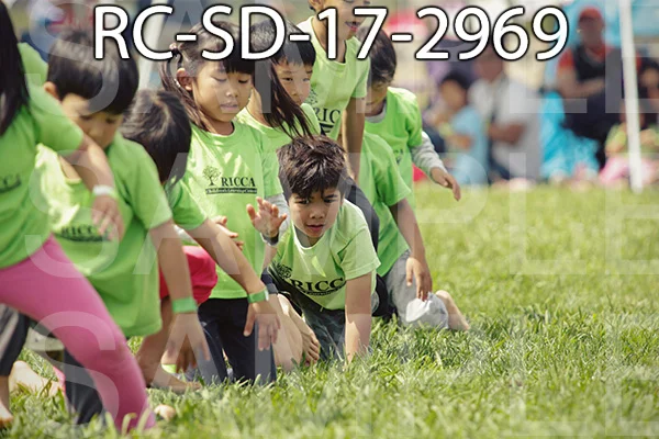 RC-SD-17-2969.jpg