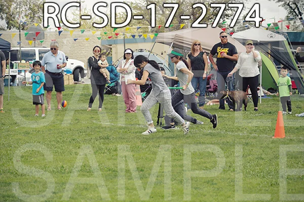RC-SD-17-2774.jpg