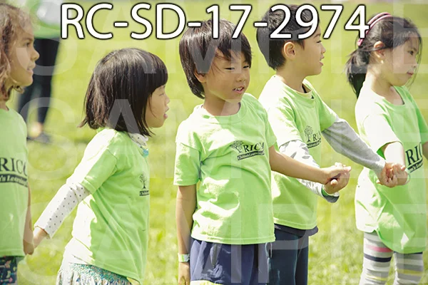 RC-SD-17-2974.jpg