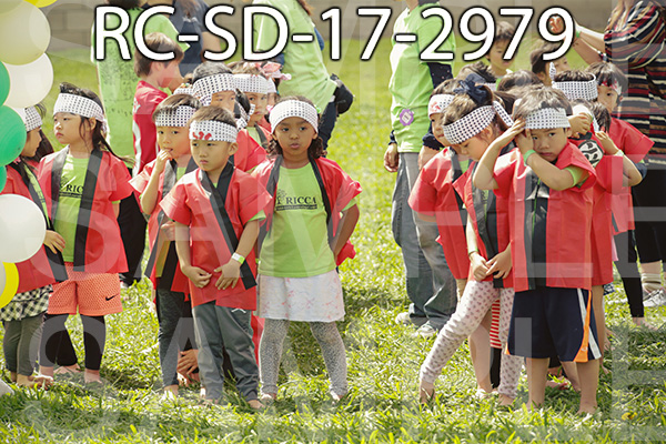 RC-SD-17-2979.jpg