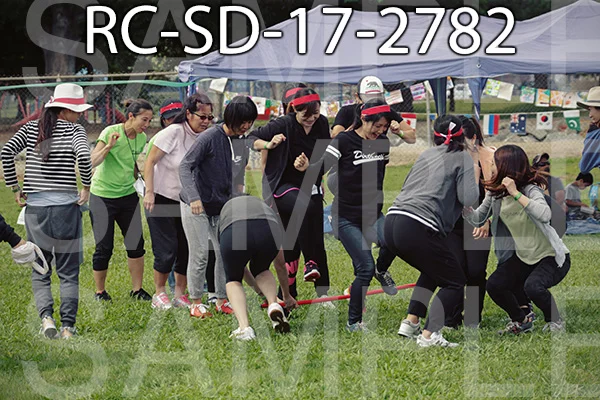 RC-SD-17-2782.jpg
