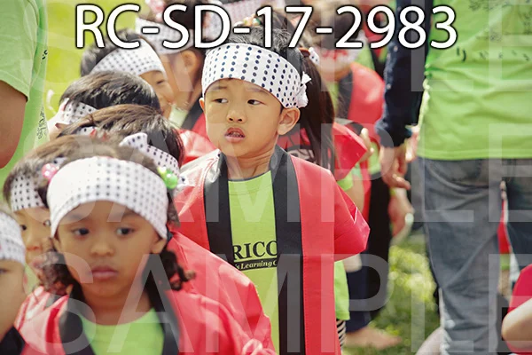 RC-SD-17-2983.jpg