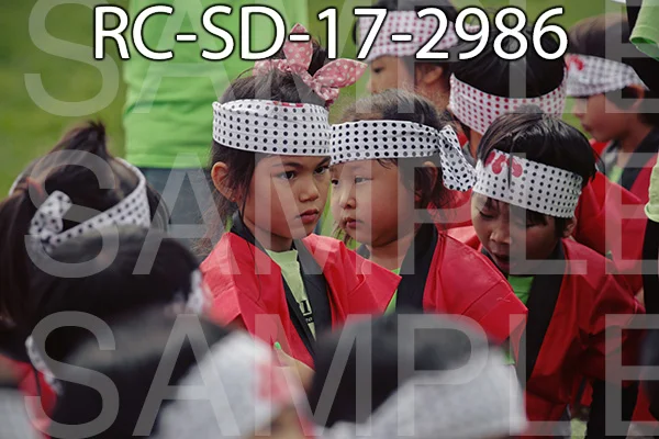 RC-SD-17-2986.jpg