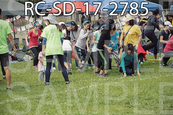 RC-SD-17-2785.jpg