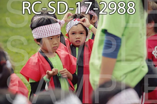 RC-SD-17-2988.jpg