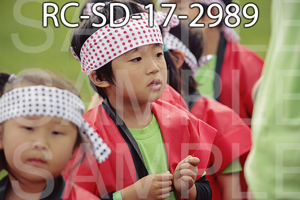 RC-SD-17-2989.jpg