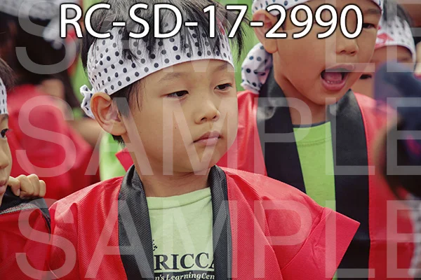 RC-SD-17-2990.jpg