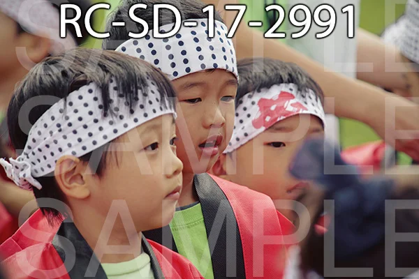 RC-SD-17-2991.jpg
