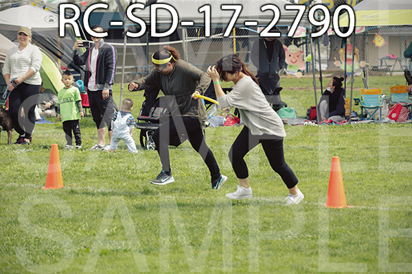 RC-SD-17-2790.jpg