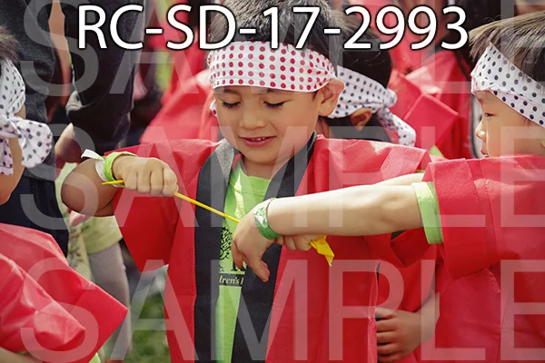 RC-SD-17-2993.jpg