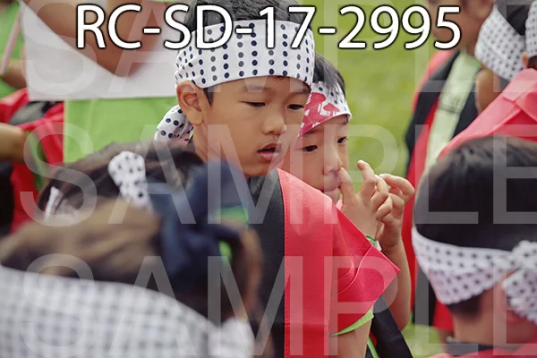 RC-SD-17-2995.jpg