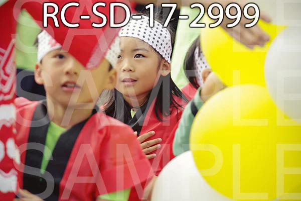 RC-SD-17-2999.jpg