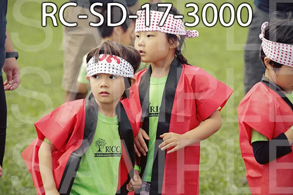 RC-SD-17-3000.jpg
