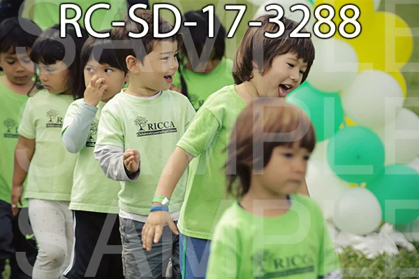 RC-SD-17-3288.jpg