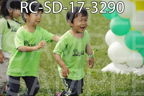 RC-SD-17-3290.jpg