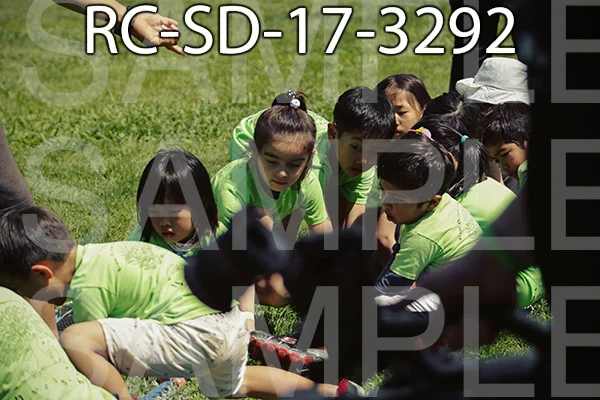 RC-SD-17-3292.jpg