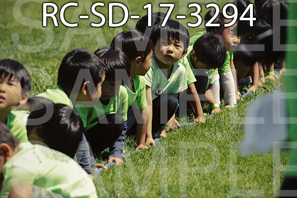 RC-SD-17-3294.jpg