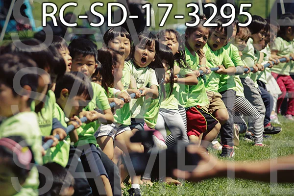 RC-SD-17-3295.jpg