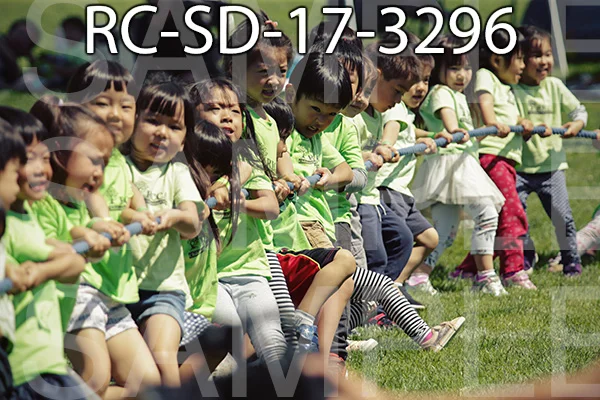 RC-SD-17-3296.jpg