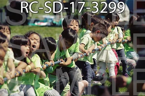 RC-SD-17-3299.jpg