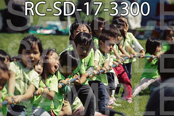 RC-SD-17-3300.jpg