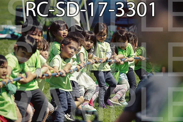 RC-SD-17-3301.jpg
