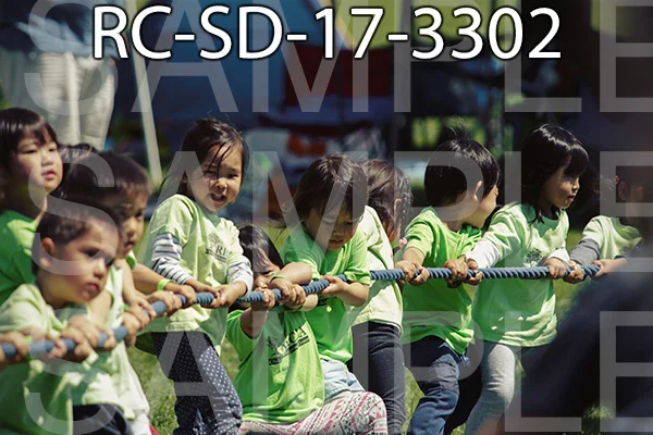 RC-SD-17-3302.jpg