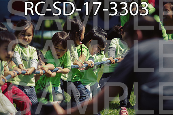 RC-SD-17-3303.jpg