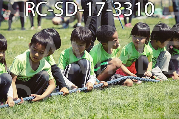 RC-SD-17-3310.jpg