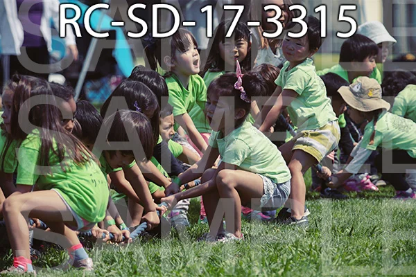 RC-SD-17-3315.jpg