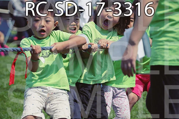RC-SD-17-3316.jpg