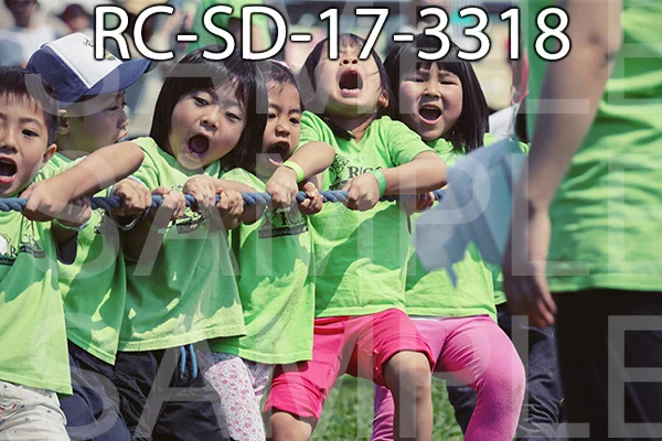 RC-SD-17-3318.jpg