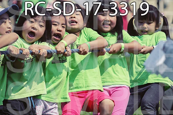 RC-SD-17-3319.jpg