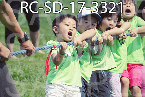RC-SD-17-3321.jpg