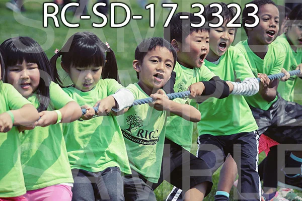 RC-SD-17-3323.jpg