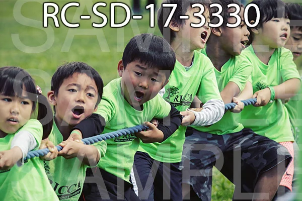 RC-SD-17-3330.jpg