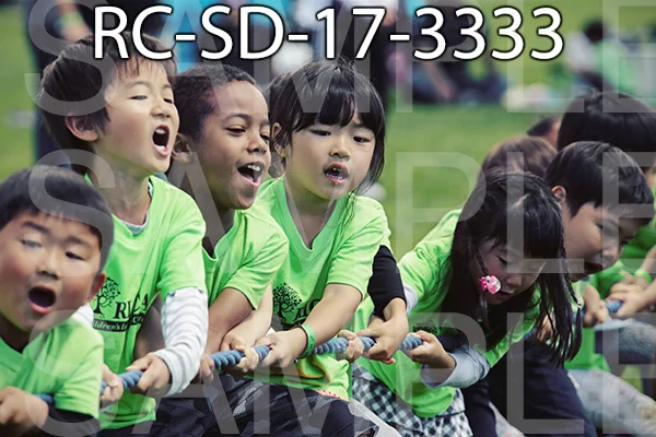 RC-SD-17-3333.jpg