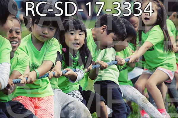 RC-SD-17-3334.jpg