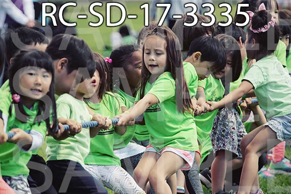 RC-SD-17-3335.jpg