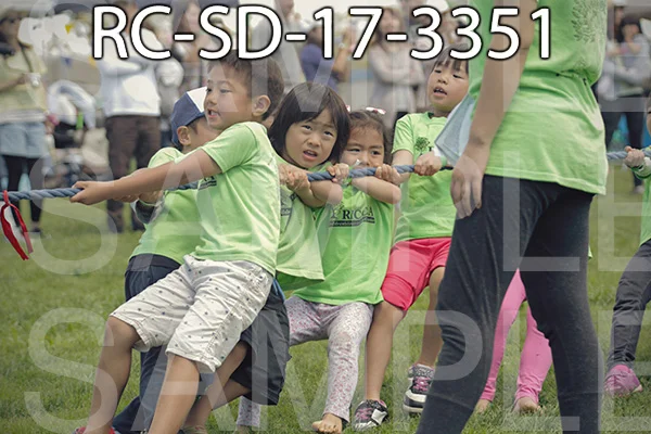 RC-SD-17-3351.jpg