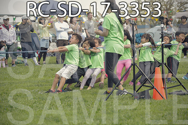 RC-SD-17-3353.jpg