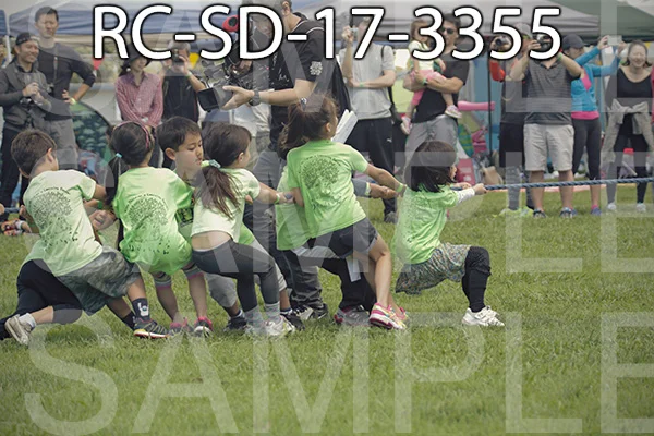 RC-SD-17-3355.jpg