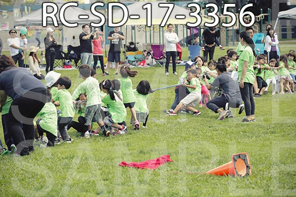 RC-SD-17-3356.jpg