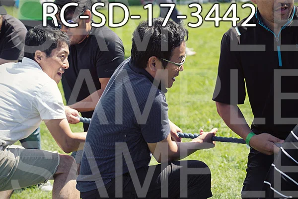 RC-SD-17-3442.jpg