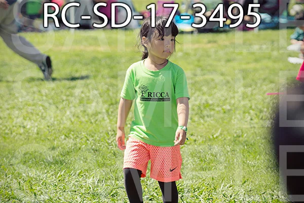 RC-SD-17-3495.jpg