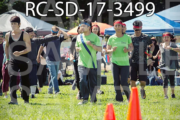 RC-SD-17-3499.jpg